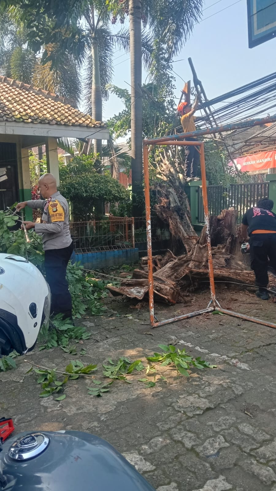 Respon Cepat, Polsek Bantargebang Bersama BPBD Bekasi Evakuasi Pohon Tumbang yang Tutupi Jalan