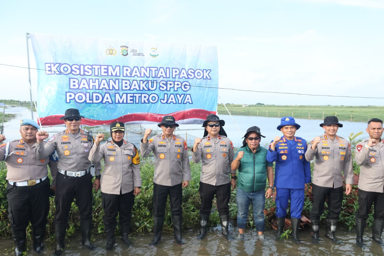 Dukung Program Ketahanan Pangan, Kapolda Metro Jaya Cek Tambak Udang di Muara Gembong