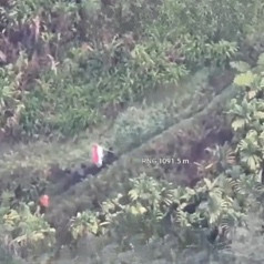 Koops TNI Habema Hadirkan Rasa Aman, Warga Distrik Kembru Kembali Pulang dan Kibarkan Bendera Merah Putih