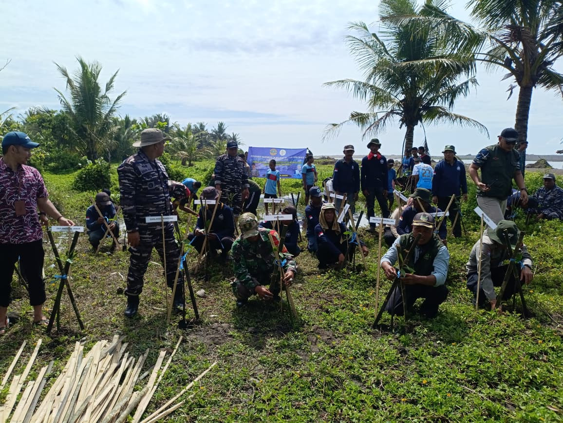 Penanaman Mangrove di Wilayah Selatan Jawa Barat Tahun 2025 Terus Dilakukan Oleh Pangkalan TNI AL Bandung Bersama DKP Provinsi Jabar