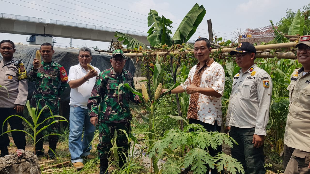 Polri Panen Raya Jagung Serentak Digelar di Pademangan, Dorong Swasembada Pangan 2025