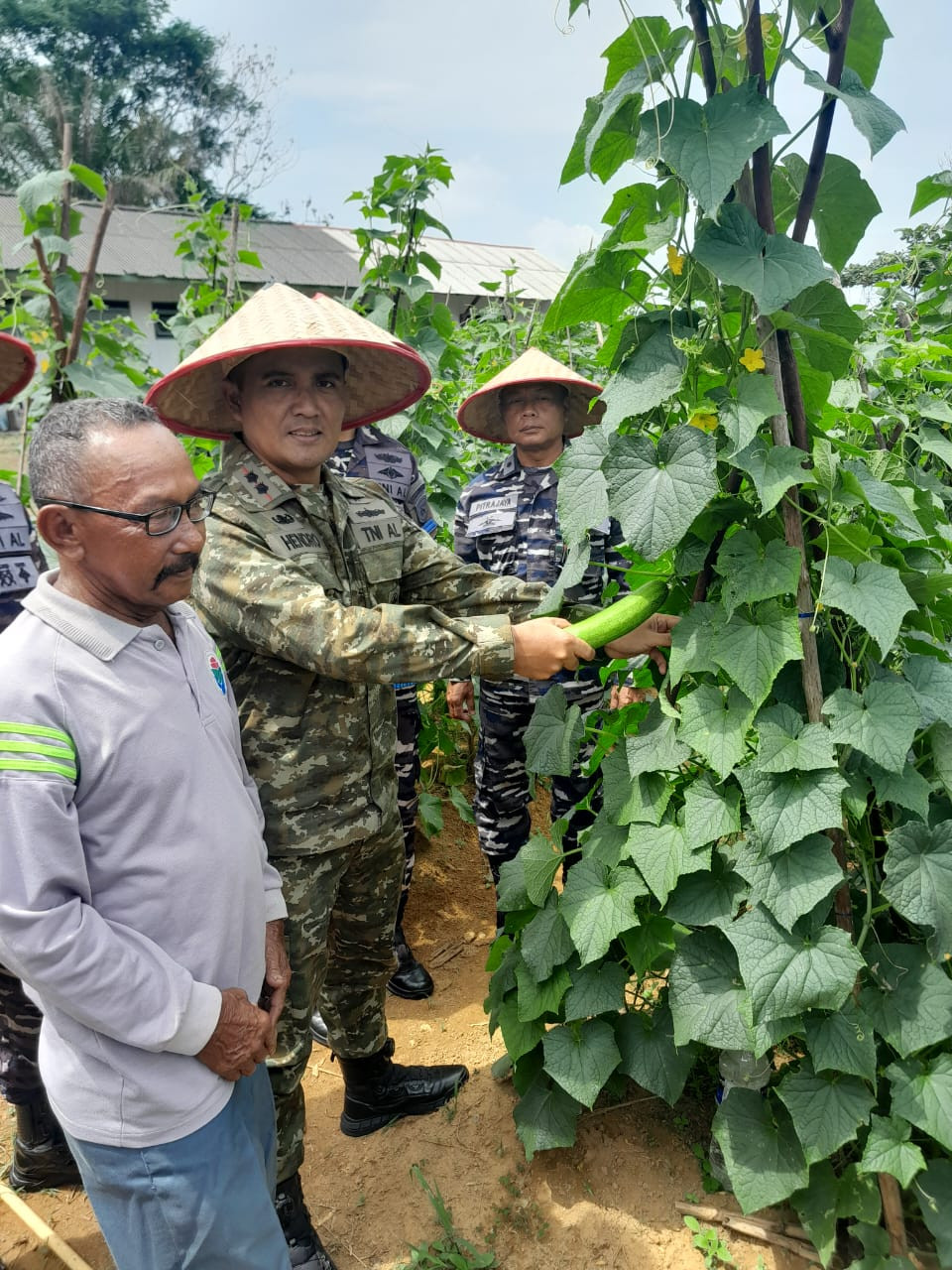 Lanal Dabo Singkep Laksanakan Panen Ketimun Dalam Program Ketahanan Pangan TNI AL 2025