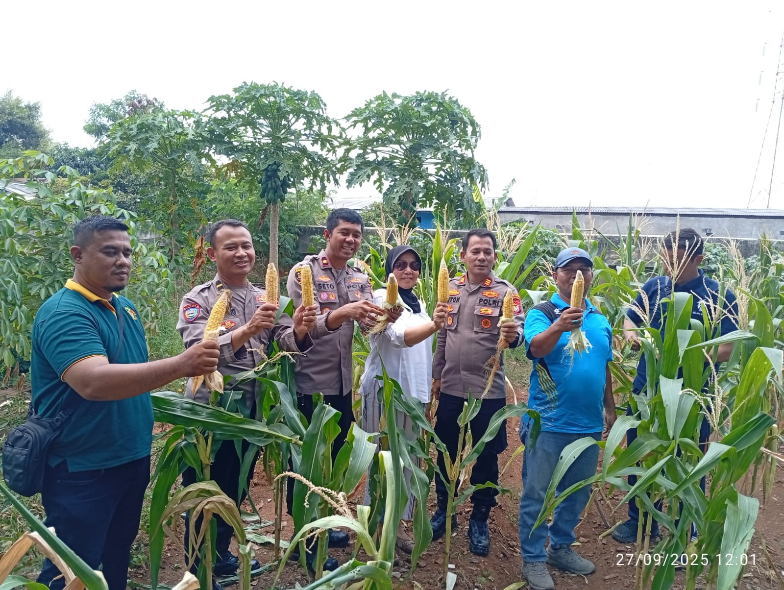 Panen Raya Jagung Serentak Kuartal III, Polsek Kelapa Gading Ikut Sukseskan Gerakan Pangan Nasional