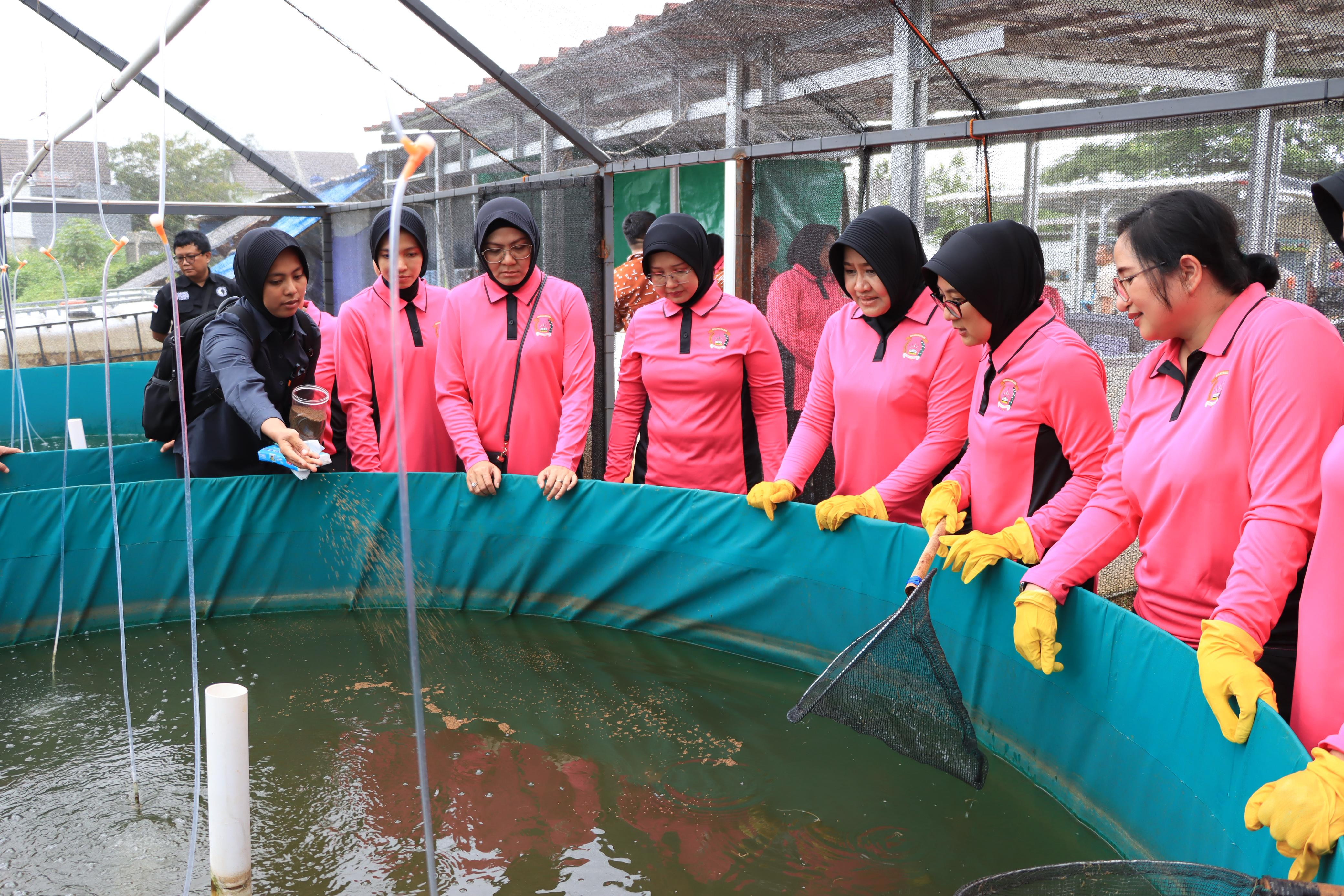 LAUNCHING PEKARANGAN PANGAN LESTARI (P2L) BHAYANGKARI METRO JAYA DIGELAR DI KELURAHAN PADURENAN BEKASI