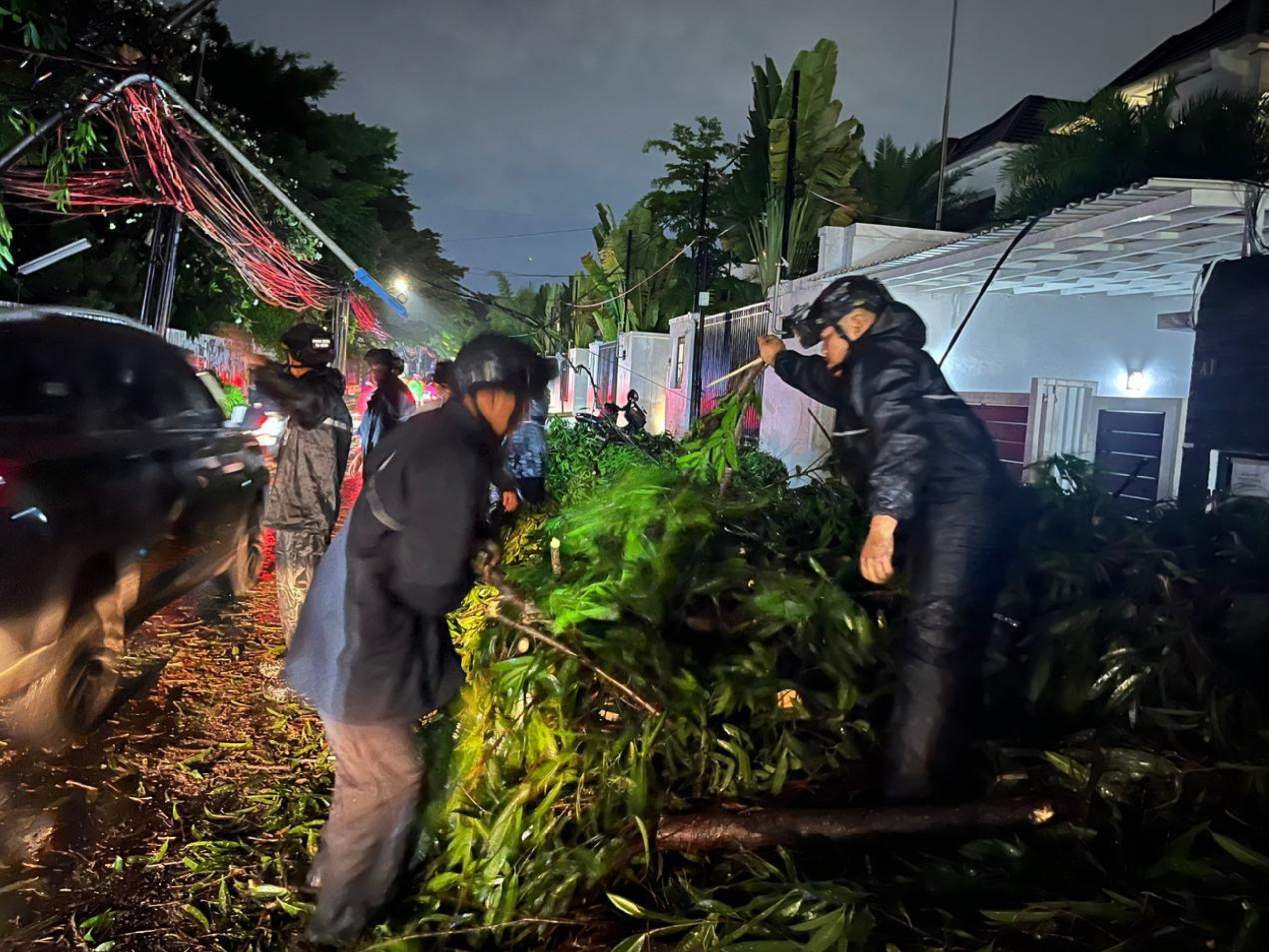 Brimob Polda Metro Jaya Sigap Evakuasi Pohon Tumbang di Kebayoran Baru, Arus Lalu Lintas Kembali Lancar