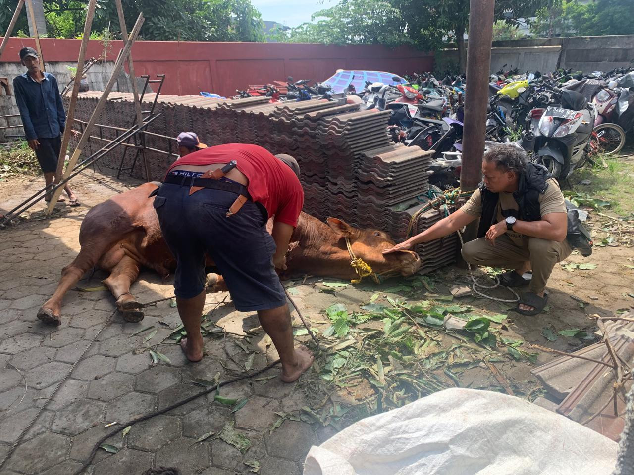 Polsek Koja Salurkan Ratusan Bungkus Daging Kurban untuk Warga