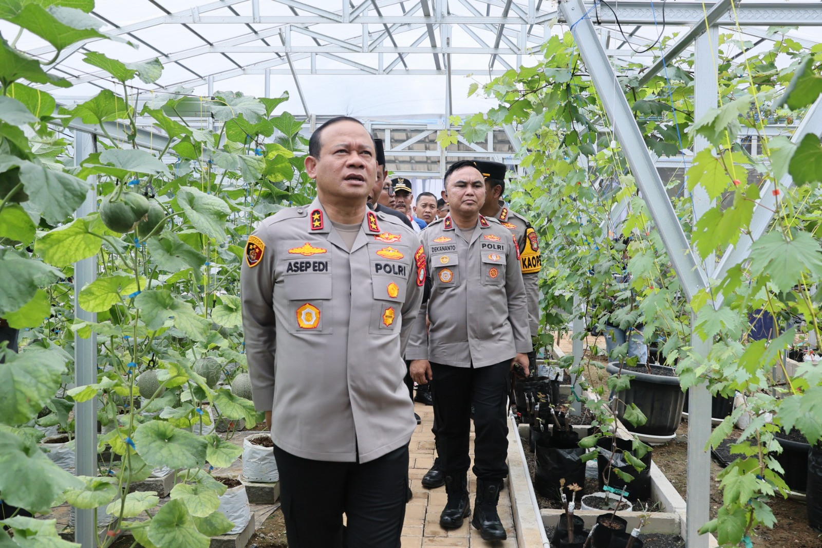 Kapolda Metro Jaya Sambangi Green House Perumahan Bekasi, Dukung Program Pangan Mandiri