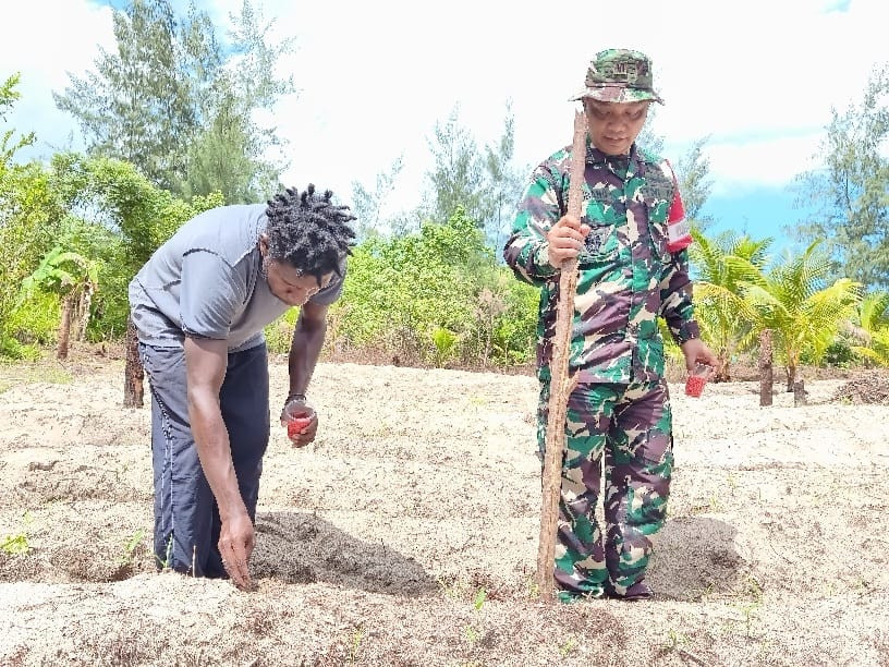 Manfaatkan Lahan Tidur, Satgas TMMD Ke-128 Kodim 1710/Mimika Tanam Jagung Bersama Warga