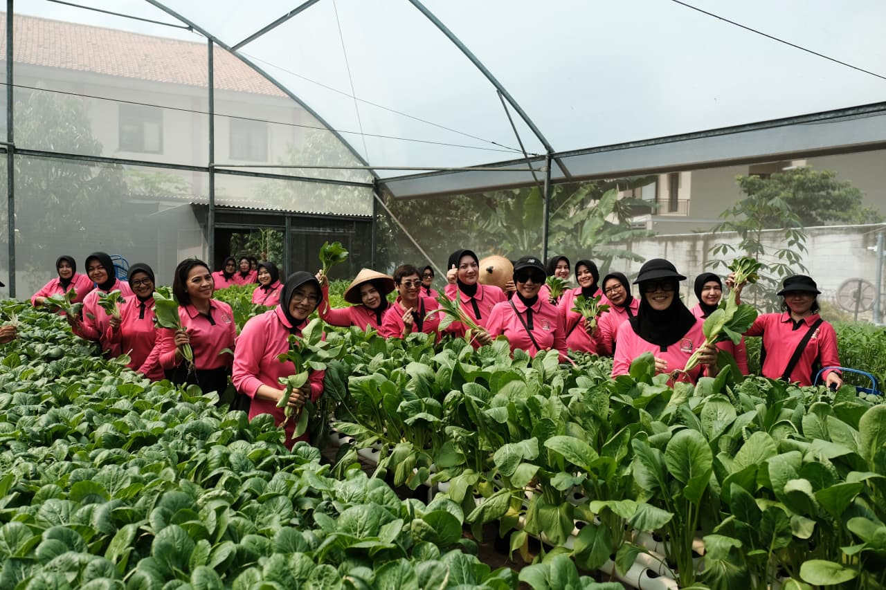 Dukung Ketahanan Pangan, Bhayangkari Gabungan 06 Korps Brimob Polri Gelar Panen di P2L