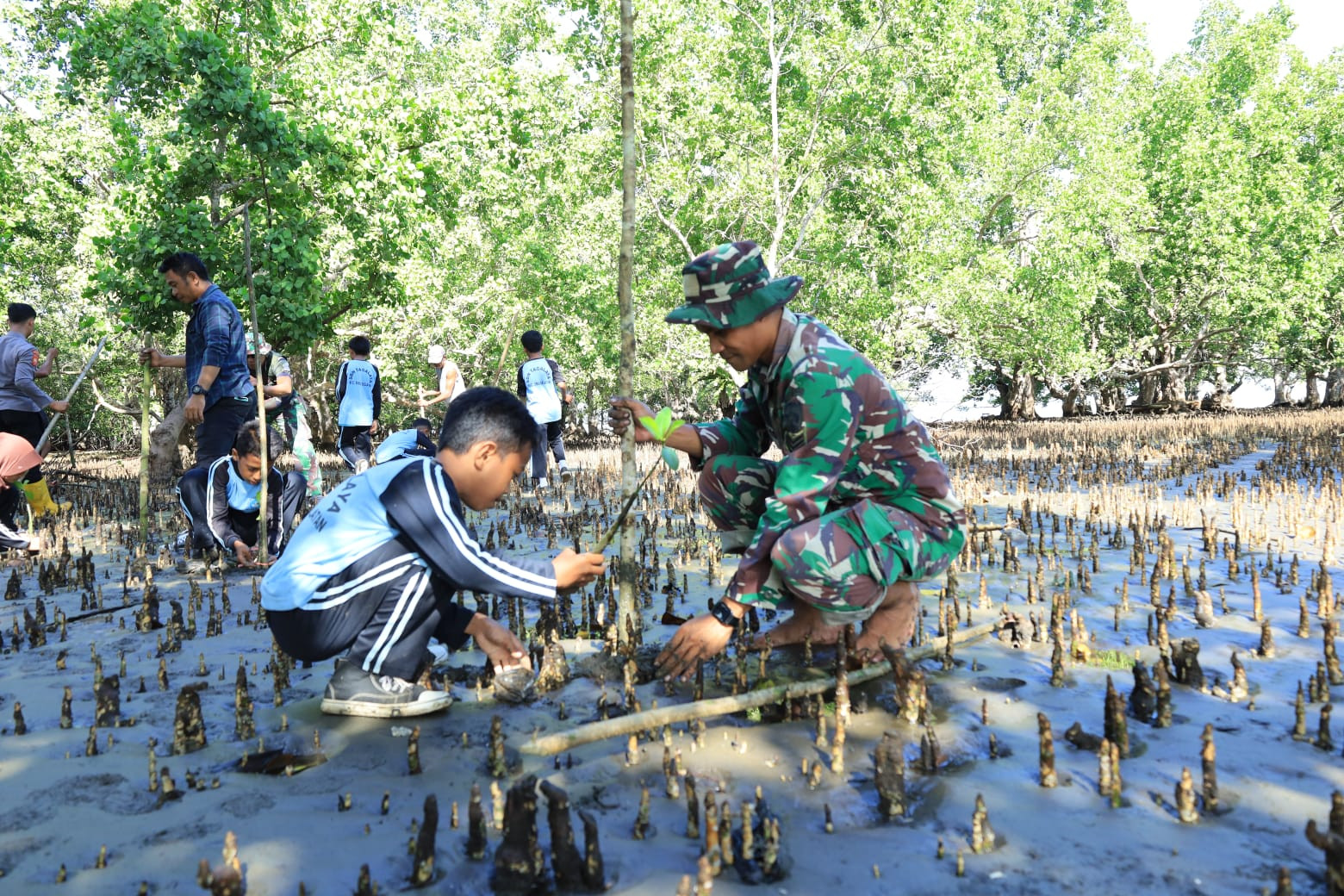 Lestarikan Pantai, Satgas TMMD Kodim 1505/Tidore Galakkan Penanaman Mangrove di Oba Selatan