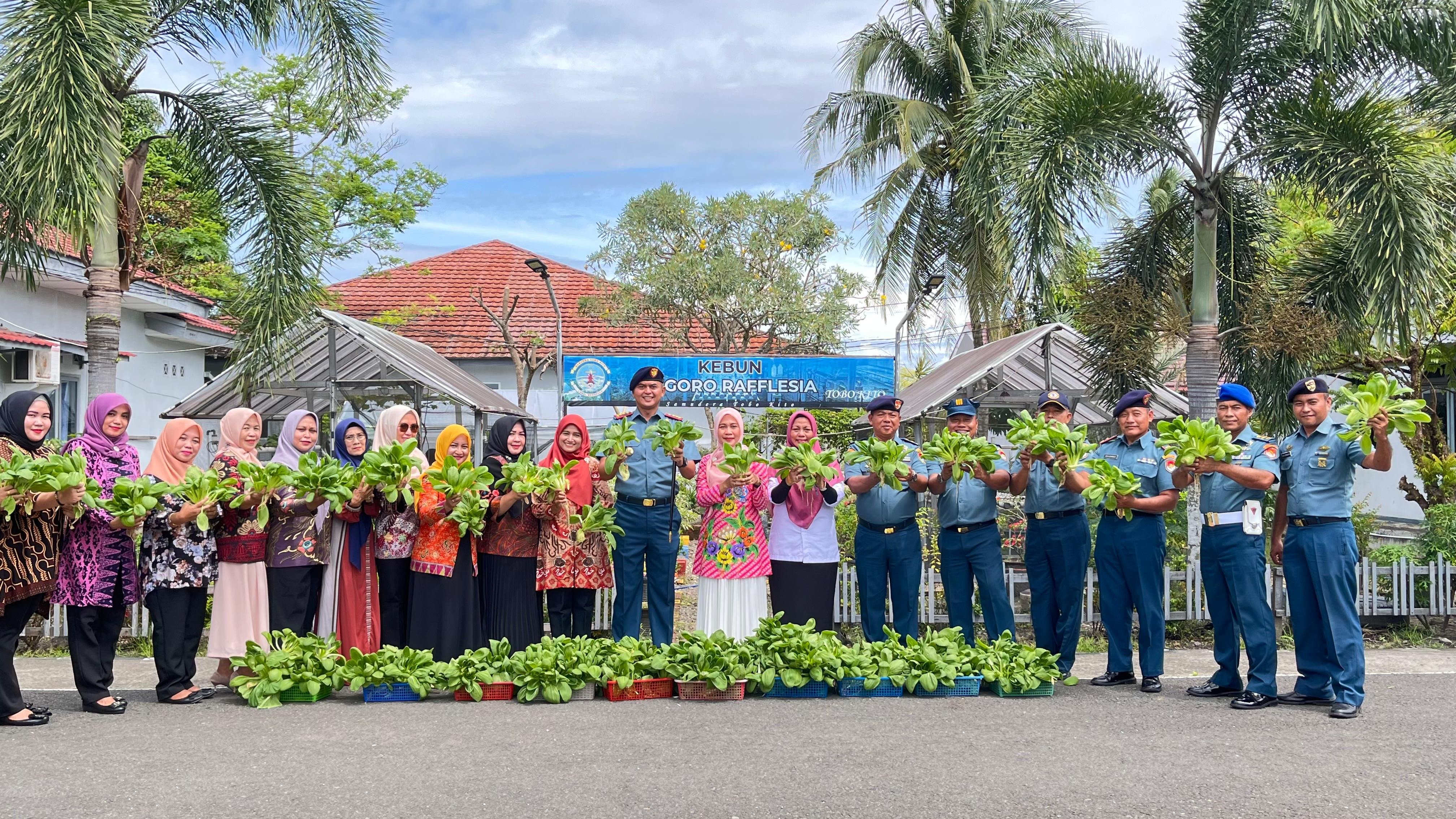 Panen Raya Hidroponik Lanal Bengkulu, Inovasi Untuk Ketahanan Pangan Lokal